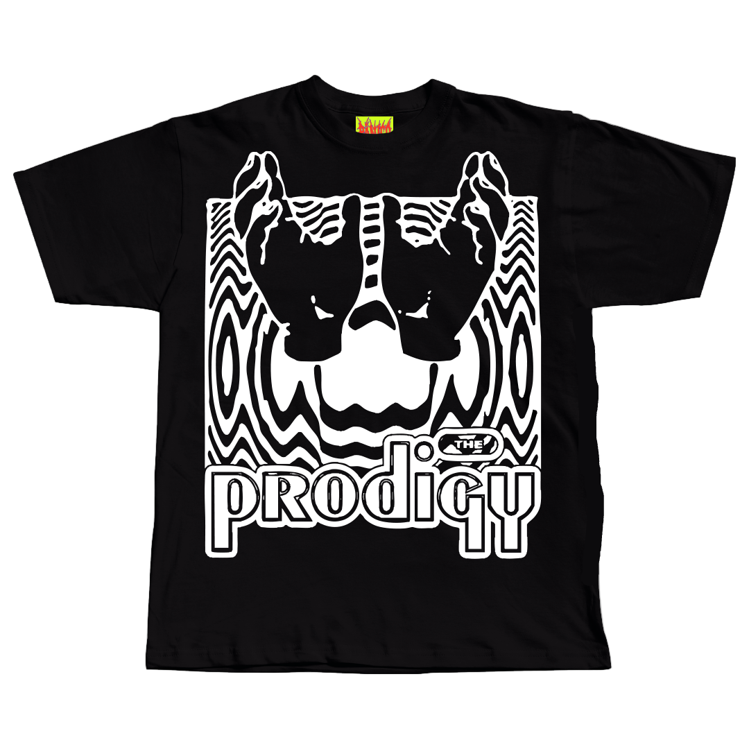 The Prodigy
