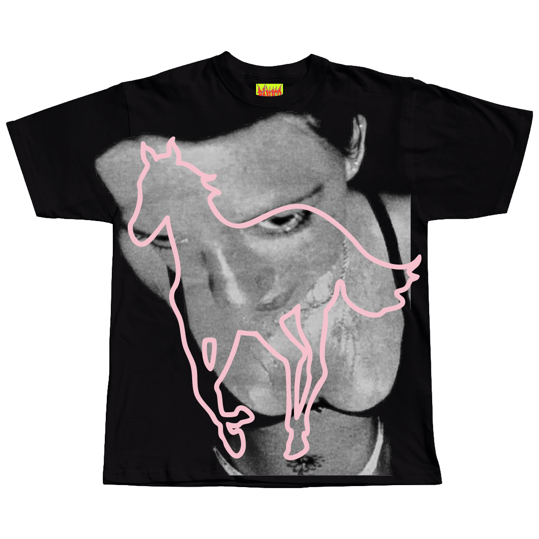 Deftones - Around The Pink Pony